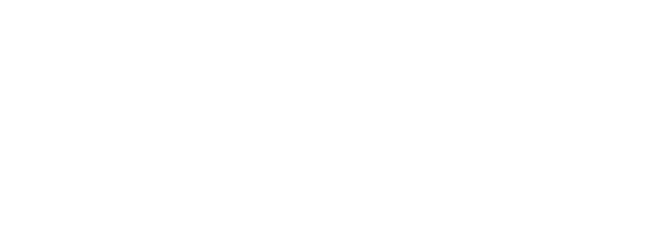 New York City View