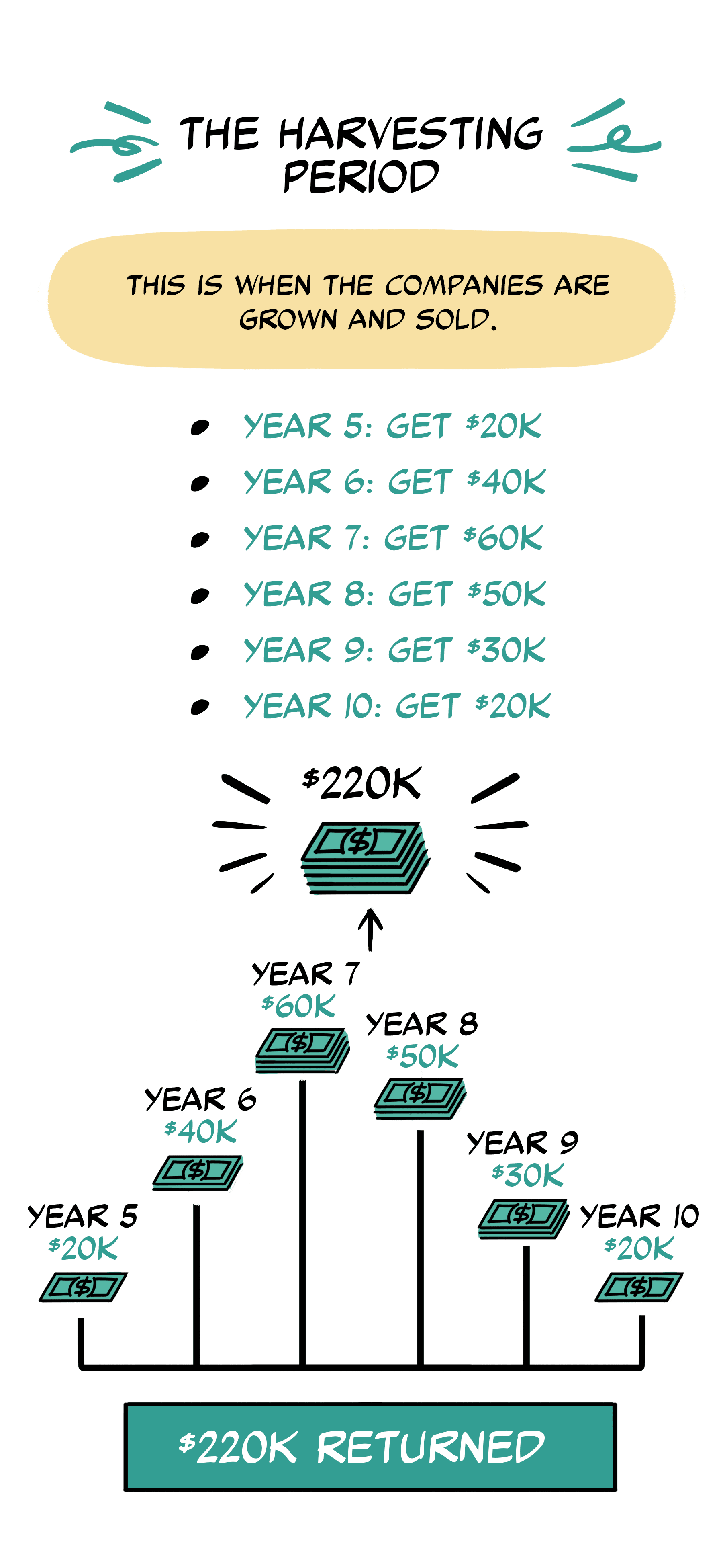 The harvesting period